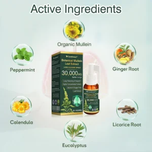 CareBreeze Botanical Mullein Leaf Extract