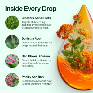BalanceVie Lymphatic Drainage Drops