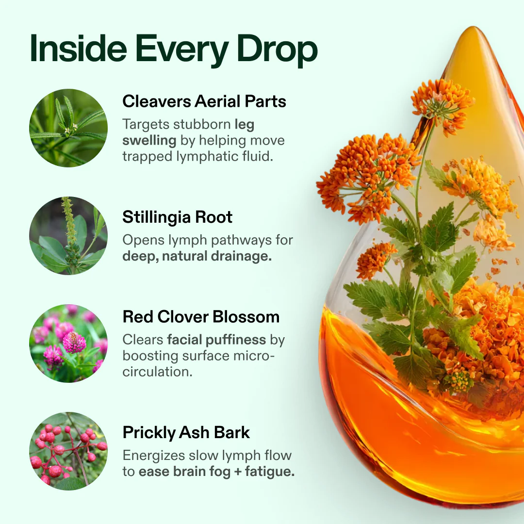BalanceVie Lymphatic Drainage Drops